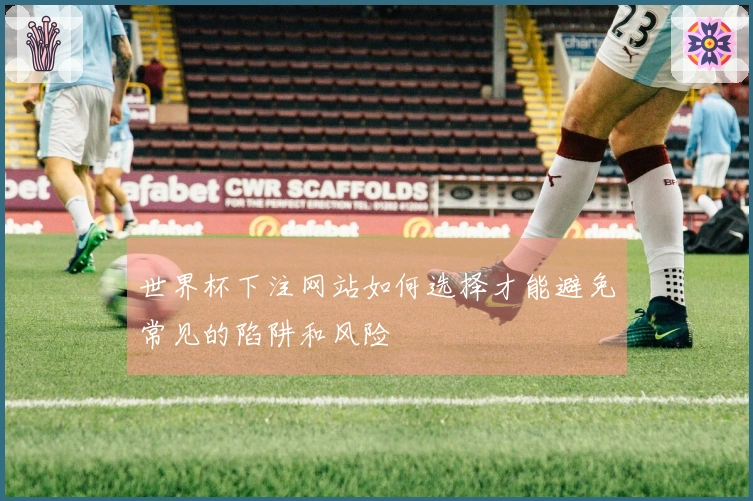 世界杯下注网站如何选择才能避免常见的陷阱和风险