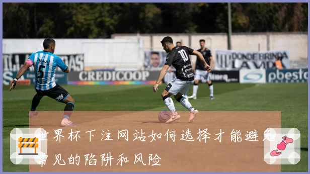 世界杯下注网站如何选择才能避免常见的陷阱和风险