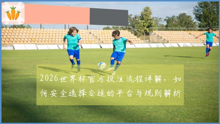 2026世界杯官方投注流程详解,如何安全选择合适的平台与规则解析