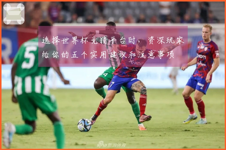选择世界杯竞猜平台时，资深玩家给你的五个实用建议和注意事项